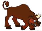 Bull