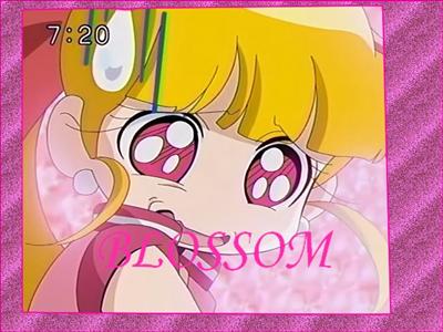 Blossom banner
