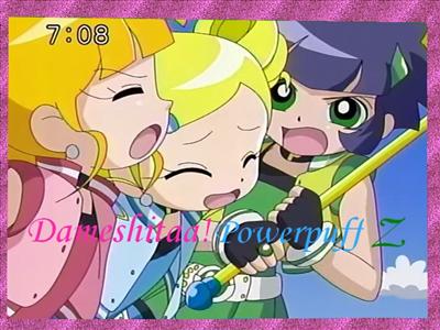 ppgz banner