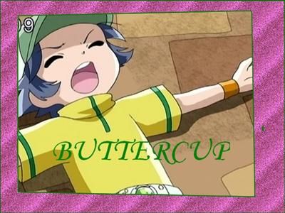 Buttercup banner
