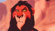 Scar