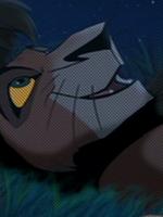 Kovu(adulte)