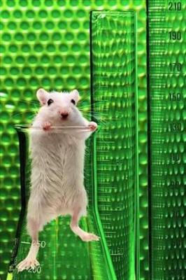 Lab Rat