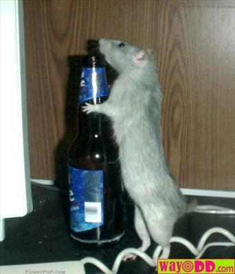 Rataholic