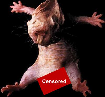 Censored Nekked Mole Rat