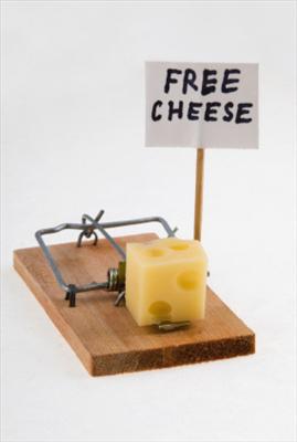 Cheezy Trap