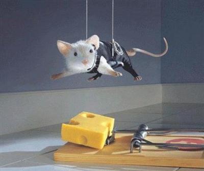 Mission Ratpossible