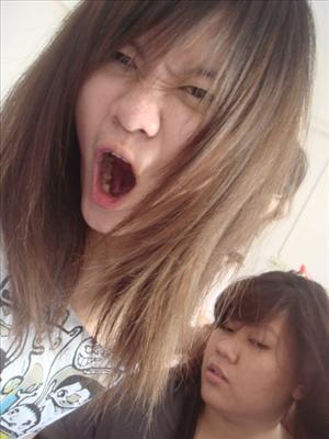 ปอ