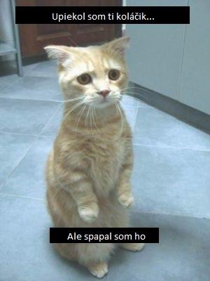 Smutný