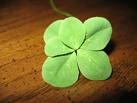 Clover