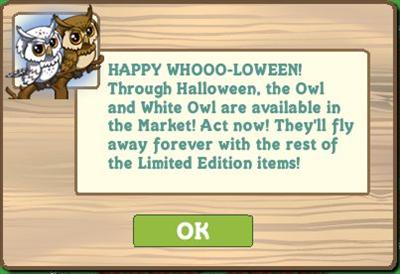 owls