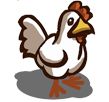 white chicken