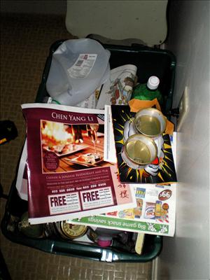 Recycling/One day's worth
