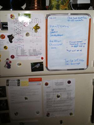 The Refrigerator Lover