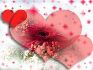 Speial Hearts