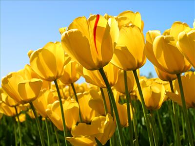 test4