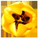 flower 4