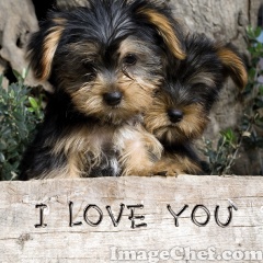 <3