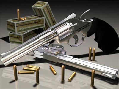 Smith Wesson