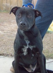Diego