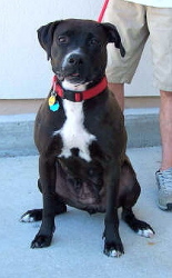 Rita