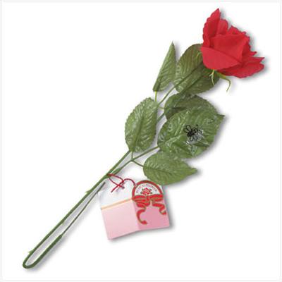 a ROse