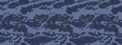 Blue Tiger Camo