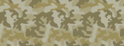 Desert Camo