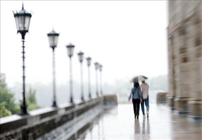 A Walk In The Rain