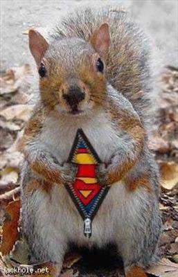 super squirrel