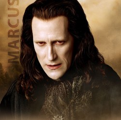 Marcus
