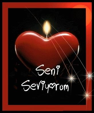 Seni Seviyorum