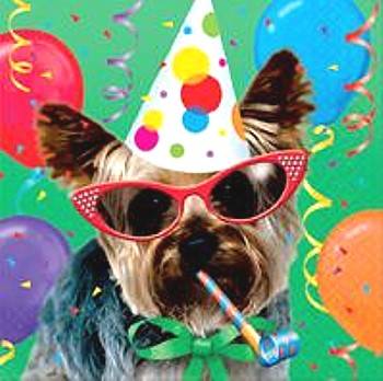 House Dog Party Favor