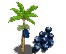 Acai Tree
