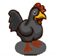 Black Chicken