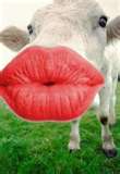Kisses