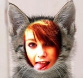 RACHEL CAT