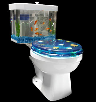 Aquarium Toilet