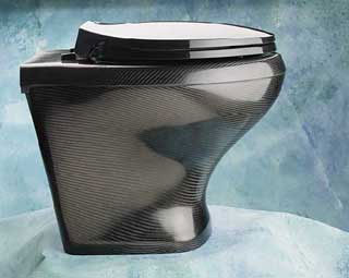 Exclusive Toilet