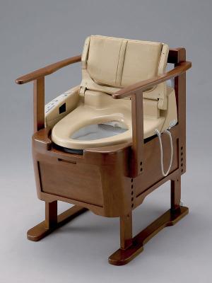 Bizzare Toilet