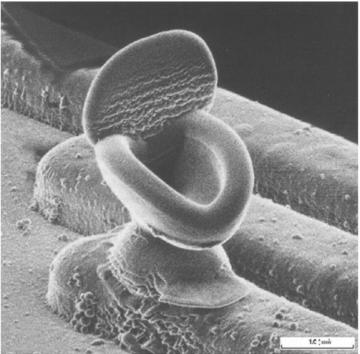 Nano Toilet