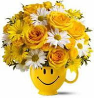HAVE A NİCE DAY