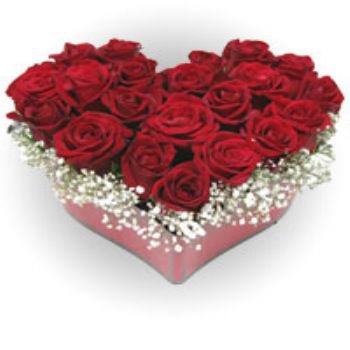 HAVE A NİCE DAY