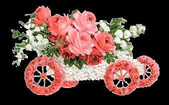 HAVE A NİCE DAY