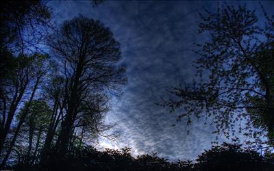 l'eveil de la nature