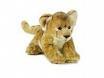 pussola