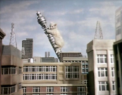 Kitten Kong