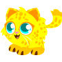 Citrus cat