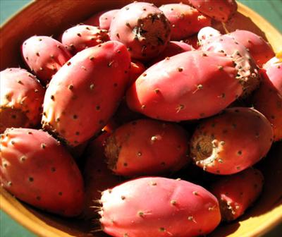 Tunas