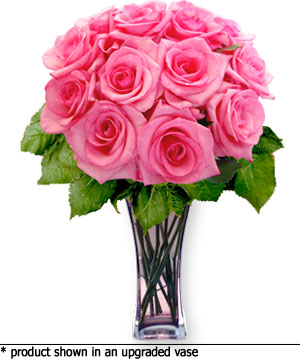 Pink Roses